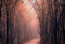 乐鱼体育官网:葡萄牙客场-丹麦,霍伊伦替补制胜,埃里克森点射被扑.