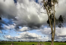 首届南洋杯狮城上演巅峰对决 申真谞胜王星昊占据先机.