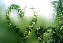 热刺和埃弗顿难兄难弟相遇 曼联英超战克星布赖顿或难分高下.