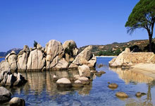 乐鱼体育官网:切尔西青训中场萨科伊本可能今晚首发,结果吃坏了食物中毒.